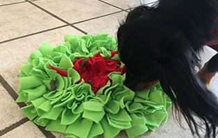 spendensammlung seniorat bad eilsen schnüffelkissen socke