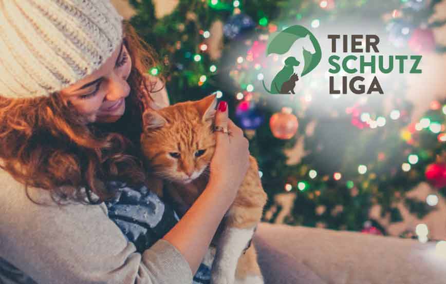 Beitragsbild-Tierischer-Advent-in-Bückeburg-2019 Weihnachts-Pate werden und unseren Tierheimen helfen