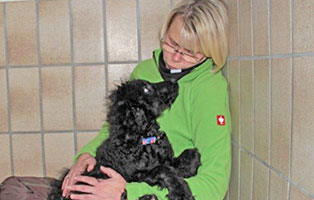 hund-anton-krank-kuschelt Hund Anton hat einen Arztmarathon vor sich