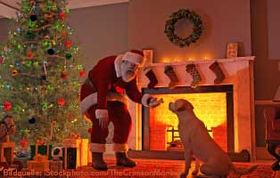 weihnachtsmann-beschenkt-hund Georgie der Streuner ist dem Tode entgangen