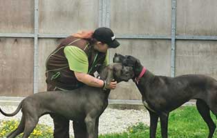beschlagnahmung-wollaberg-2doggen Rund 150 Tiere aus katastrophalen Verhältnissen gerettet