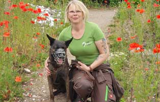 slider-danke-tanja Vier verwahrloste Yorkshire Terrier brauchen Hilfe