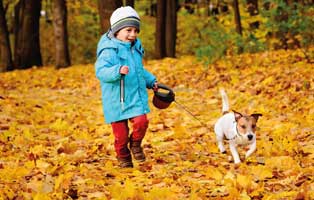 kind-mit-hund-im-herbst Weihnachtspate werden und unseren Tierheimen helfen