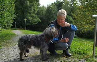 strolch-und-angst Georgie der Streuner ist dem Tode entgangen