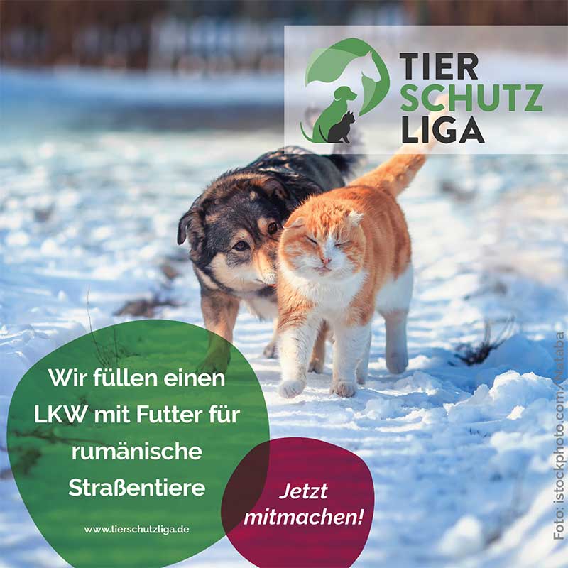 Tierschutzliga Winter Weihnachts Projekt Futter Fur Rumanische Strassentiere 18 Dezember 2020