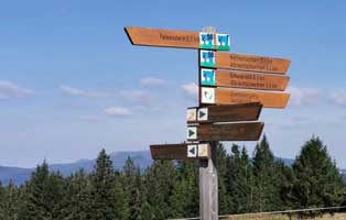 strolch-und-falkenstein-schild Georgie der Streuner ist dem Tode entgangen