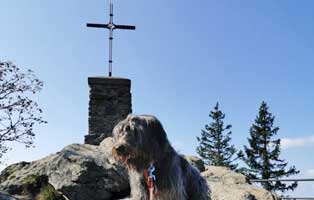 strolch-und-falkenstein Hier ist der Strolch - Falkenstein