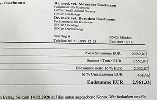 katze-verletztes-bein-rechnung Fundkater mit schlimmer Beinverletzung in Bückeburg