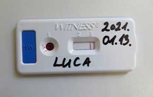 hund-luca-bekescsaba-untersuchung-test Luca aus dem Tierheim Békéscsaba wurde auf Herzbandwurm untersucht
