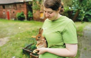 beitragsbild-jahresbericht-2019 Weihnachtspate werden und unseren Tierheimen helfen