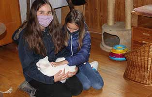 kinder-sammeln-für-katzenstation-muenchen Zuhause gefunden - Susi heißt jetzt Shiro