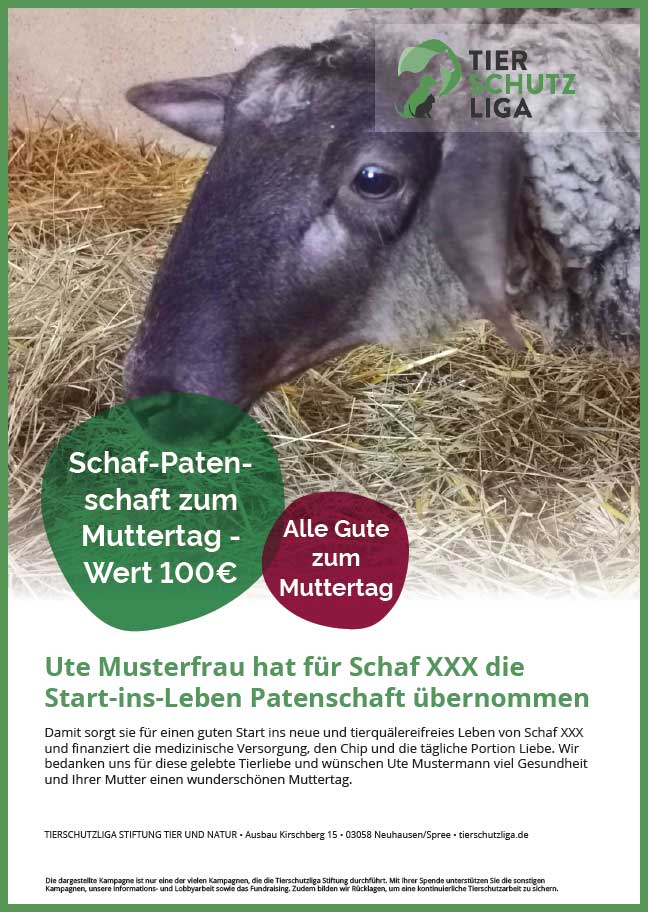 Urkunde-start-ins-leben-muttertag 40 Schafe suchen Start-ins-Leben Paten Teil1