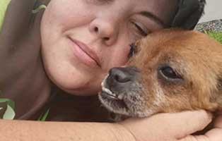 beitragsbild-das-war-der-mai-2021 44 Hundewelpen in Wollaberg - Welpenschmuggel auf der Autobahn - Ausnahmezustand