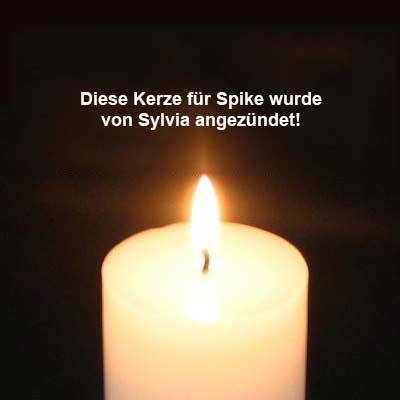 kerze-spike-sylvia Spike (OK001/20)