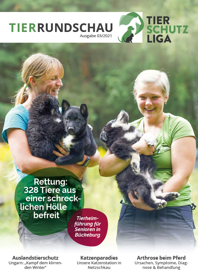 titelseite-tr-03-21 Tierrundschau - aktuelles Tiermagazin