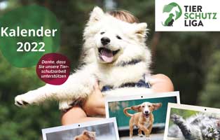 ankündigung-kalender-2022-beitrag Tierschutzligagruppe - denn Tierschutz geht uns alle an