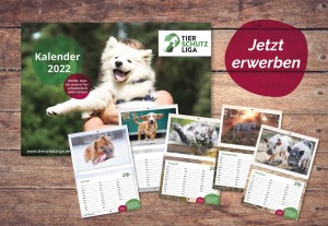 ankündigung-kalender-2022-neu-300x207 Der neue Tierschutzliga Jahreskalender 2022