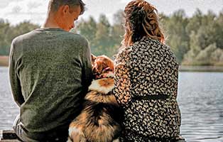 hund-hummelchen-zuhause-gefunden05 Tierische Geschichten - Lustiges und spannendes