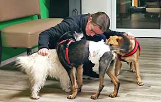 hund-kazik-polen-buerohund-annett01 Kazik ist neues Mitglied in Annetts Bürorudel