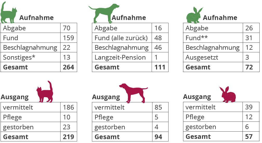 Ein-Ausgang Jahresbericht Tierheim Bückeburg 2021