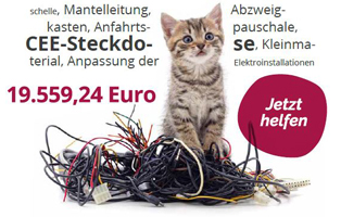 Katze-im-kabelsalat Unterstützen Sie den Tierschutzhof Wardenburg