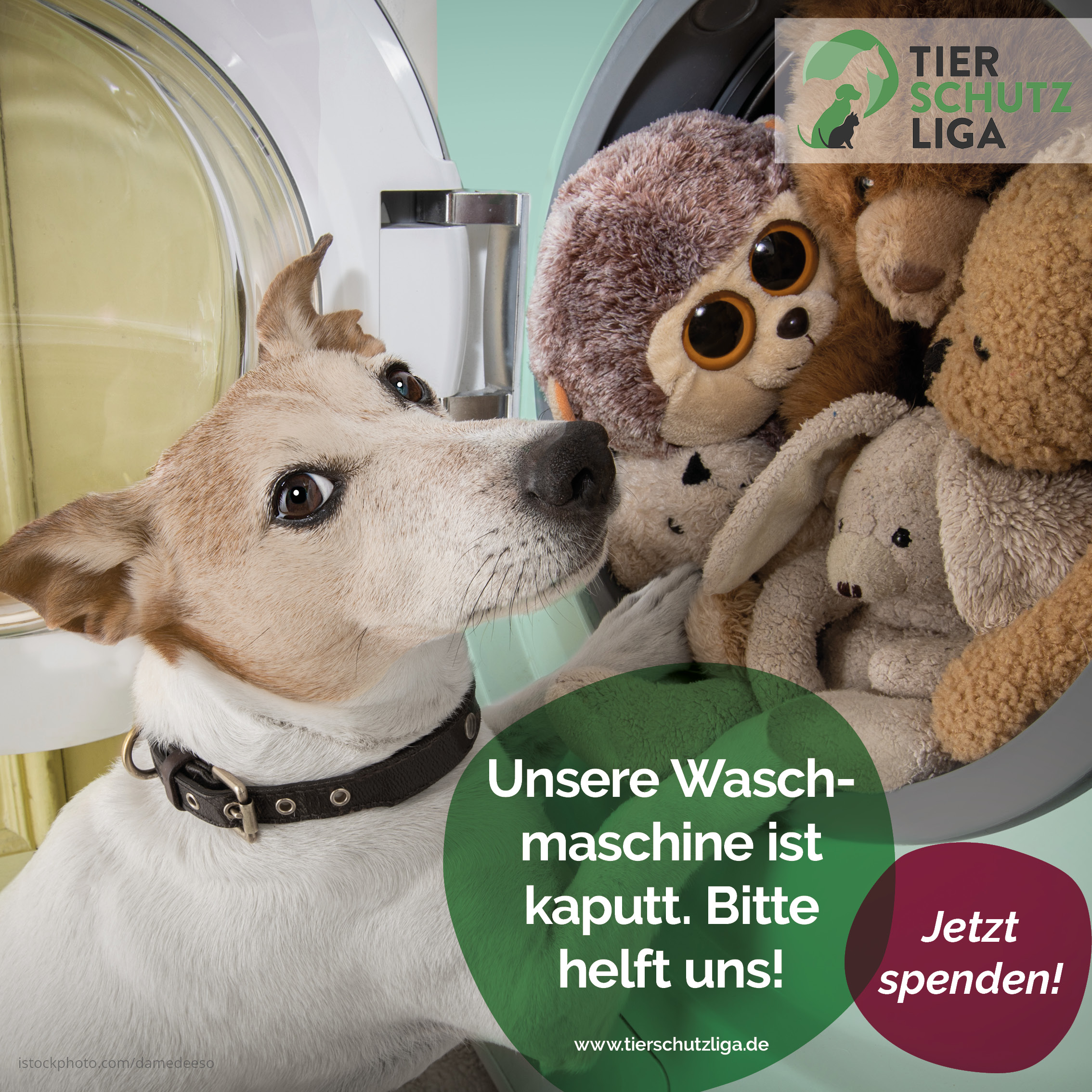 waschmaschine2 ALARM! Tierheim Unterheinsdorf ohne Waschmaschine!