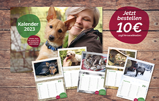 kalenderankuendigung-2023-thumbnail Ein neuer Hundetrakt für Bückeburg