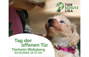 tsl-tag-der-offenen-tuer Jahresbericht Tierheim Wollaberg 2021