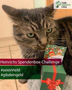 Heinrich-klimpergeldbox-240x300 Tierschutzliga Spendenbox zum Basteln