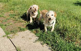 Jahresrückblick 202207