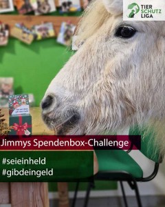Jimmi-klimpergeldbox-240x300 Tierschutzliga Spendenbox zum Basteln