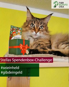 Stella-klimpergeldbox-240x300 Tierschutzliga Spendenbox zum Basteln