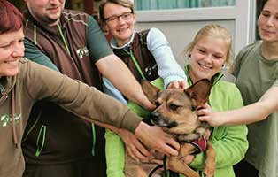 happy-end-nathan-rollihund Tierschutzliga Spendenbox zum Basteln