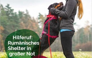 tierrundschau03-22