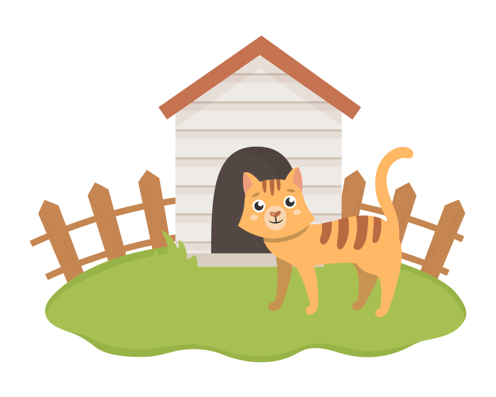 MicrosoftTeams-image-14 Alles Marode - Katzenhüttenpaten gesucht