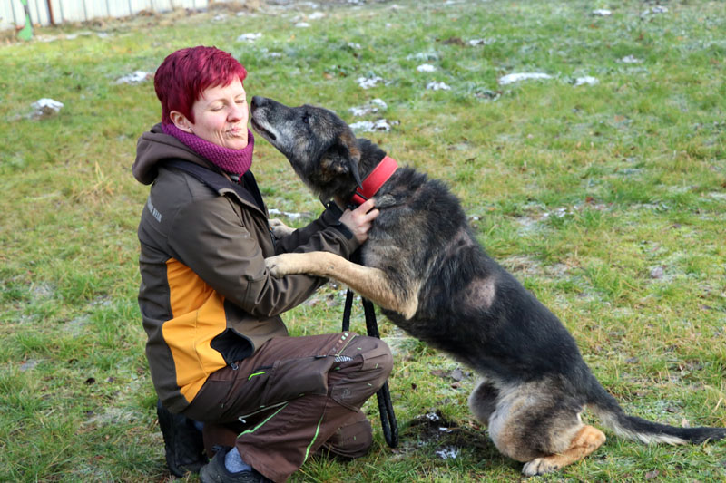 Nasfa-019848-08 Patenhund Nasfa