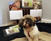 Beitrag-Kalender-2026-314x200px-177x142 Werde wie wir - Partner der Tiere