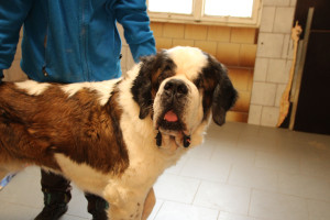 Bootsmann-22-min-300x200 Ein Geschenk das rettet: Ihre Weihnachtspatenschaft