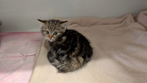 PXL_20251209_090647514-300x169 Ein Geschenk das rettet: Ihre Weihnachtspatenschaft