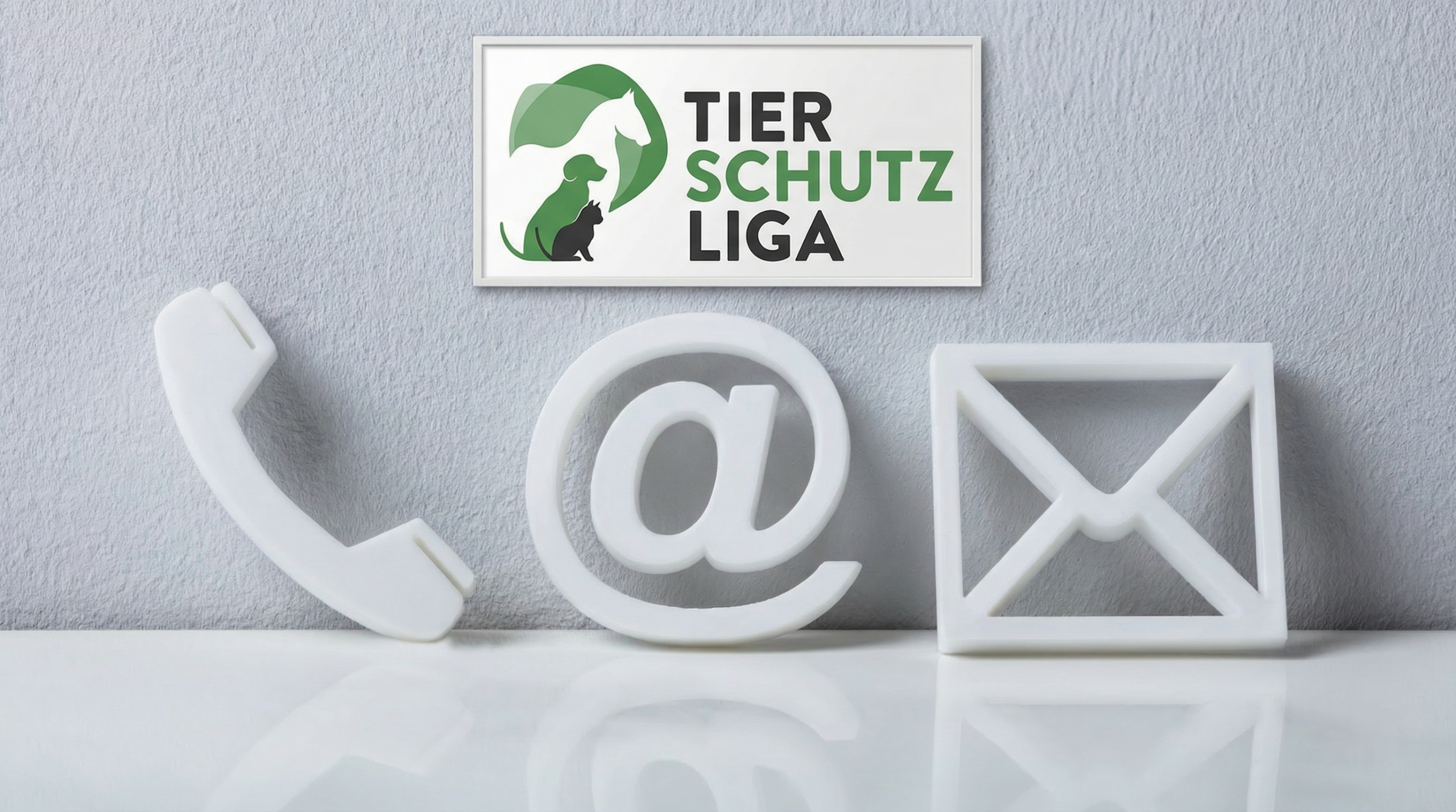 b7bee139-755e-45c3-9893-42df50825679