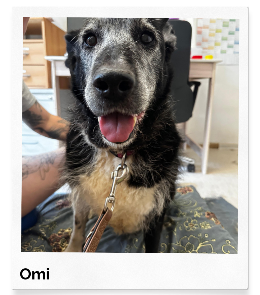 omiii Omi - gefunden zwischen Dreck, Dunkelheit und Verzweiflung