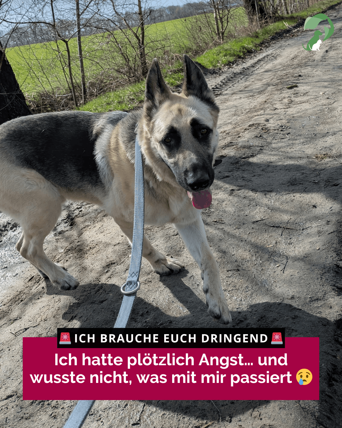 TSL VERTIKAL NEU (25) (1)