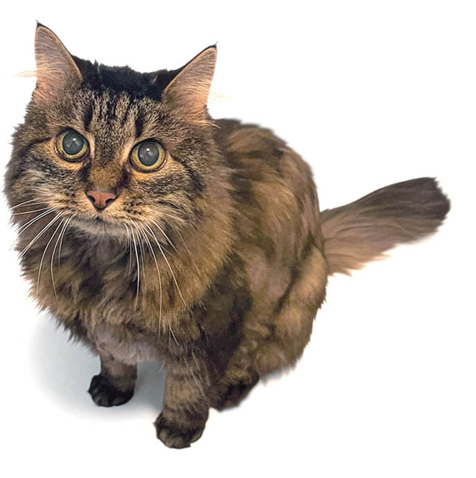 Senior-Rita