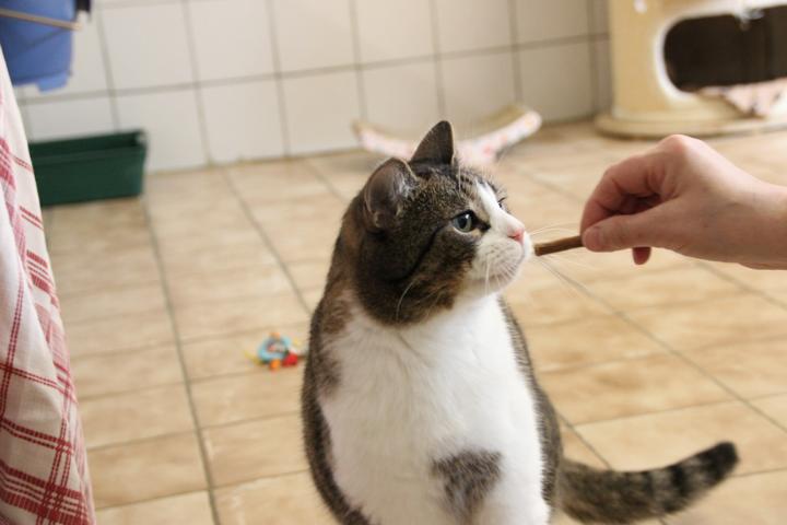 023369-06 Patenkater Peter